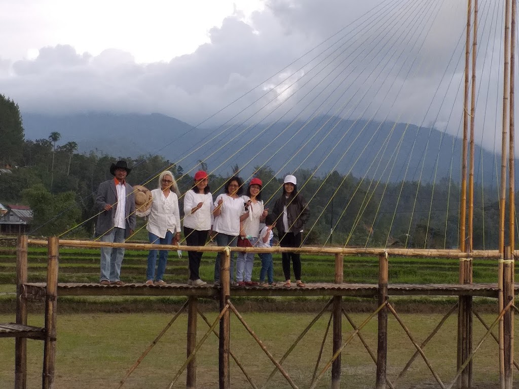 Pesona Sawah Golden Bridge Mamasa: Hamparan Emas di Sulawesi Barat