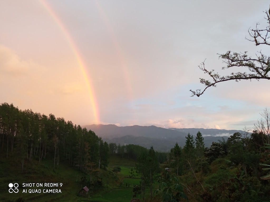 Jelajah Kampung Wisata KBS: Pesona Tersembunyi di Mamasa, Sulawesi Barat