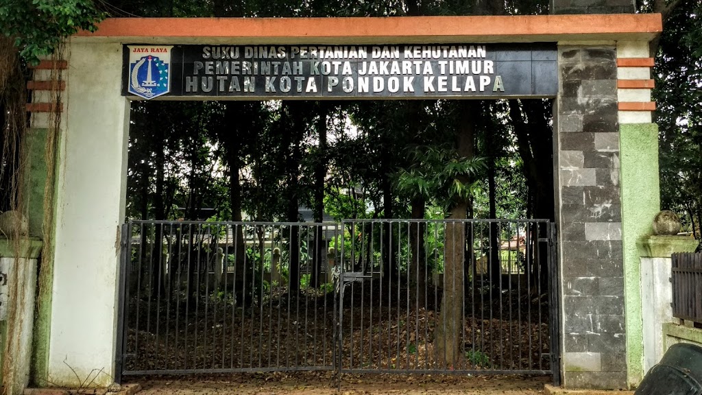 Menikmati Kesegaran Hutan Kota Pondok Kelapa, Jakarta Timur