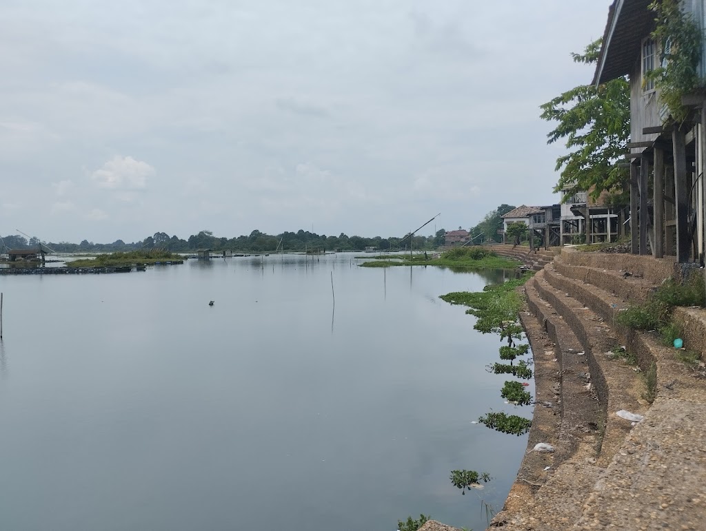 Pesona Danau Teluk Jambi: Keindahan Tersembunyi di Provinsi Jambi