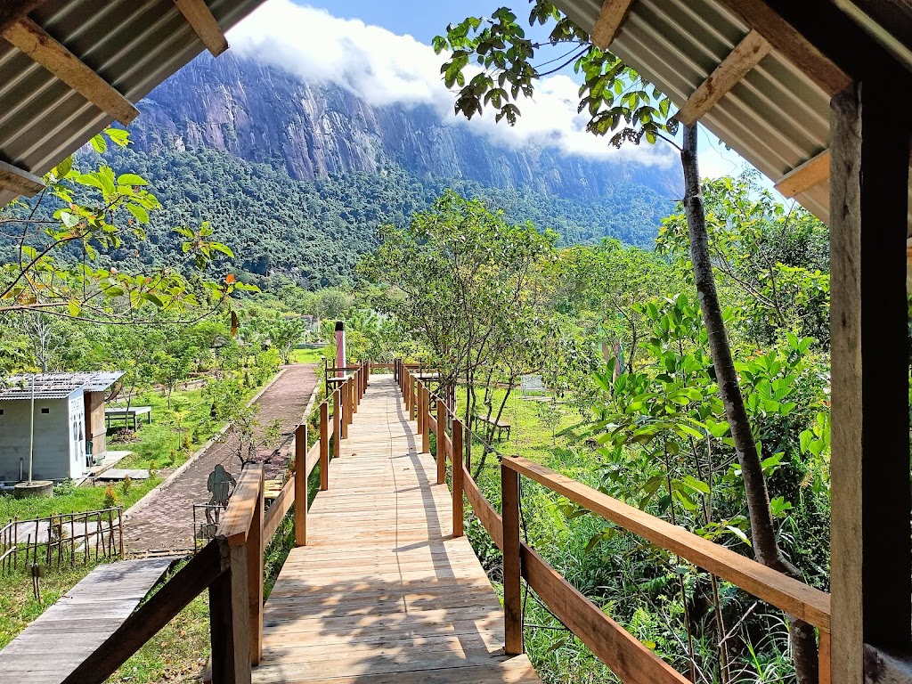 Jelajahi Keindahan Alam Keling Kumang Agrowisata di Kalimantan Barat