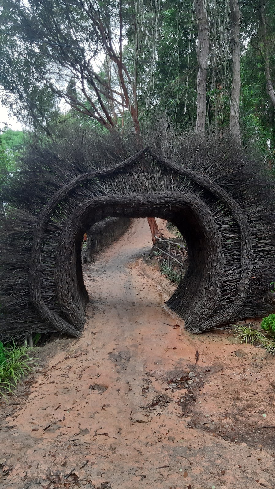 Puncak Beliung Batam: Pesona Alam Tersembunyi di Kepulauan Riau