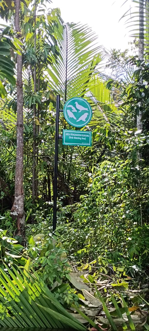 Ekowisata KUPS APIRIYU: Petualangan di Kabupaten Mimika, Papua