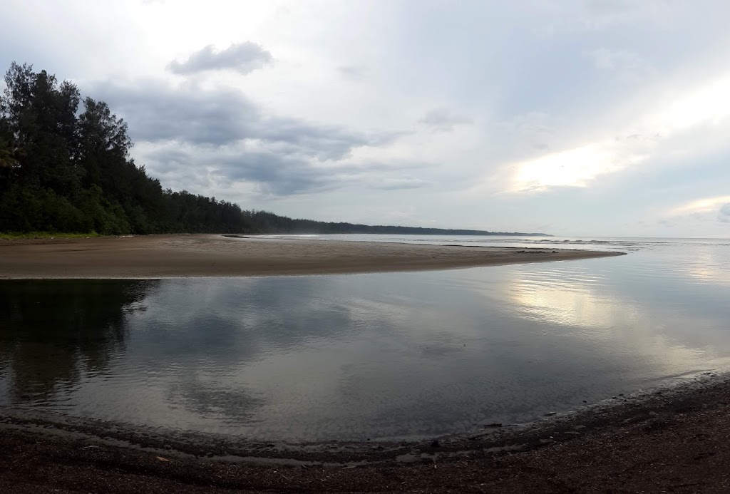 Pantai Seribu Cemara: Pesona Tersembunyi di Papua