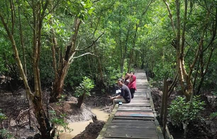 Jelajah Bandar Bakau Dumai: Pesona Kota Pelabuhan di Riau