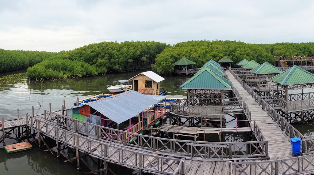 Jelajah Hutan Mangrove Tongke-tongke: Pesona Alam Sulawesi Selatan