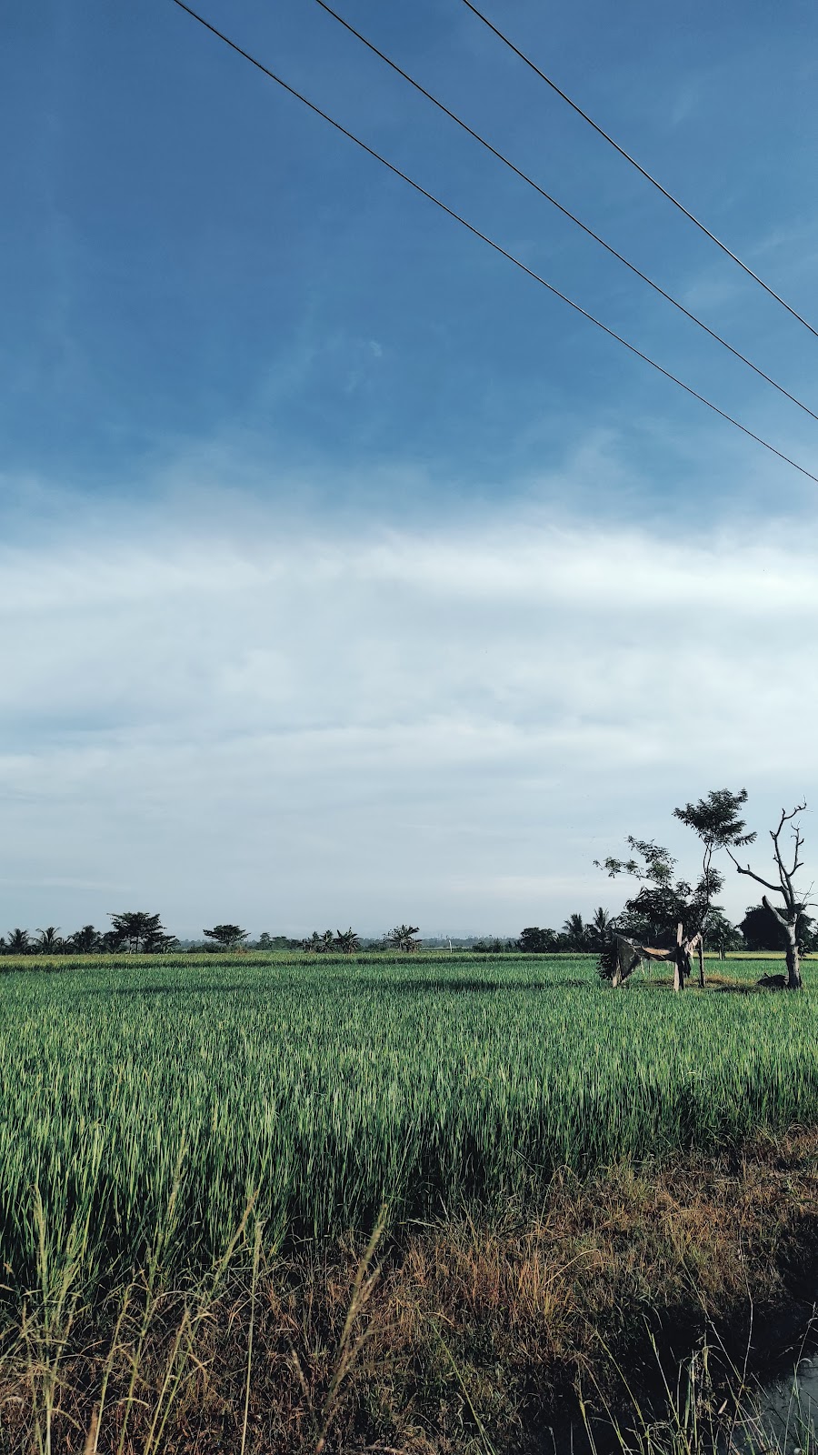 Jelajahi Pesona Alam Lambandia, Konawe Selatan