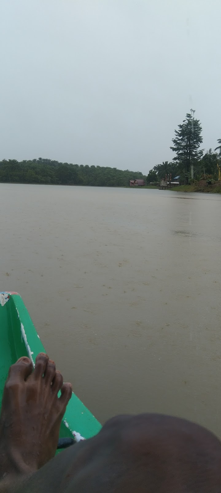 Pesona Danau Kongar A2YU di Sumatera Selatan: Surga Tersembunyi di Musi Banyuasin