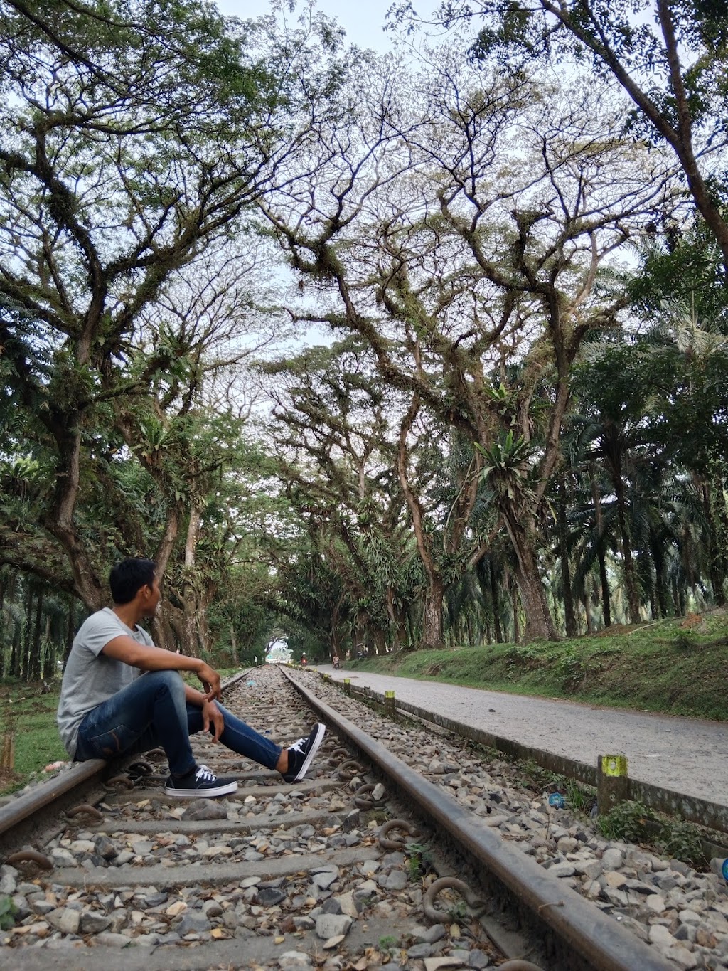 Lorong Negeri Padang Halaban View: Pesona Alam Tersembunyi di Labuhanbatu Utara