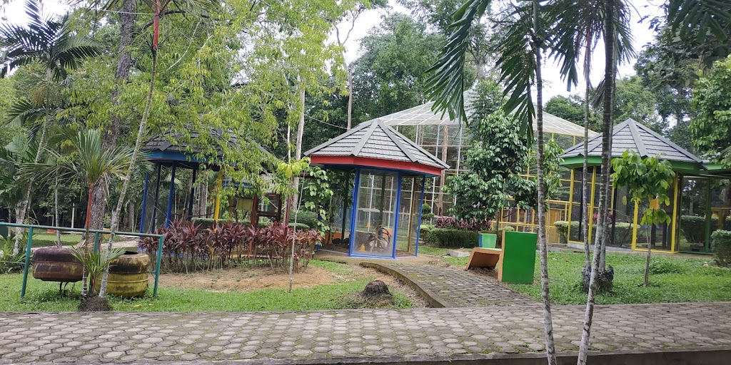 Menikmati Kesegaran Hutan Kota Muhammad Sabki Jambi