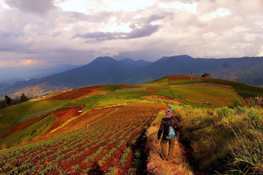 Jelajah Gunung Artapela: Petualangan di Perbukitan Bandung