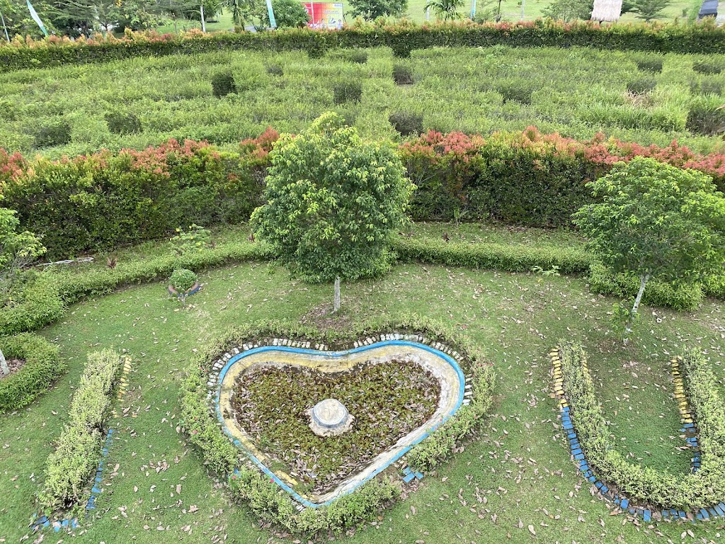 Menjelajah Kebun Raya Banua: Surga Hijau di Kalimantan Selatan