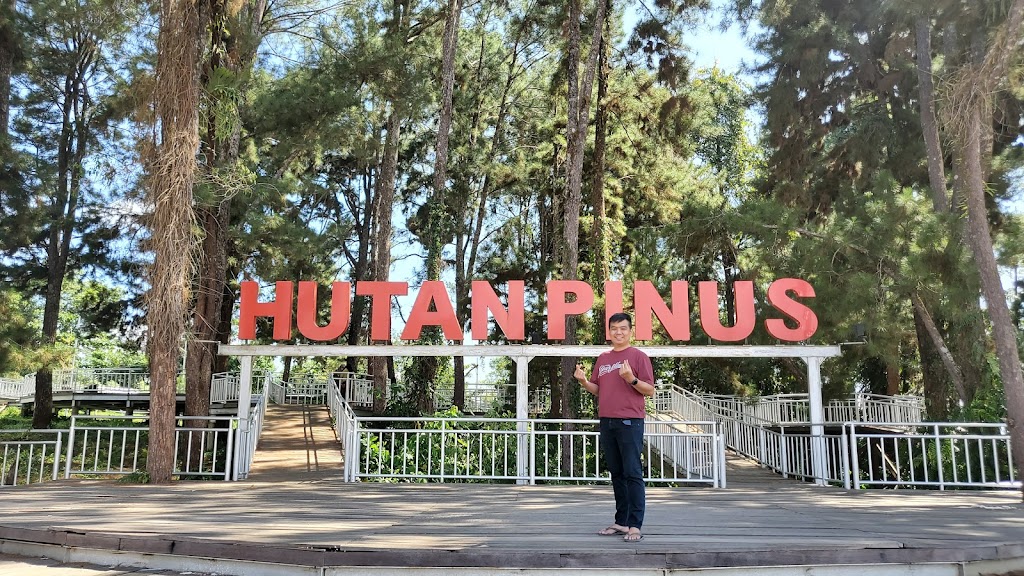 Menjelajahi Hutan Pinus Tana Tidung: Pesona Alam Kalimantan Utara