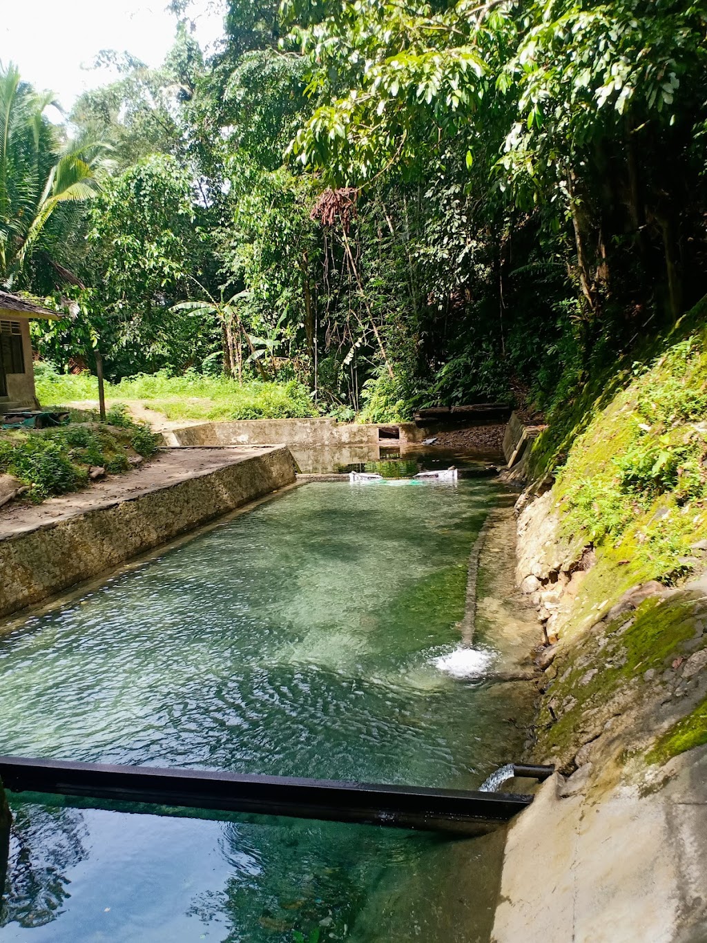 Menjelajah Aer Kaluar, Pesona Tersembunyi di Ambon