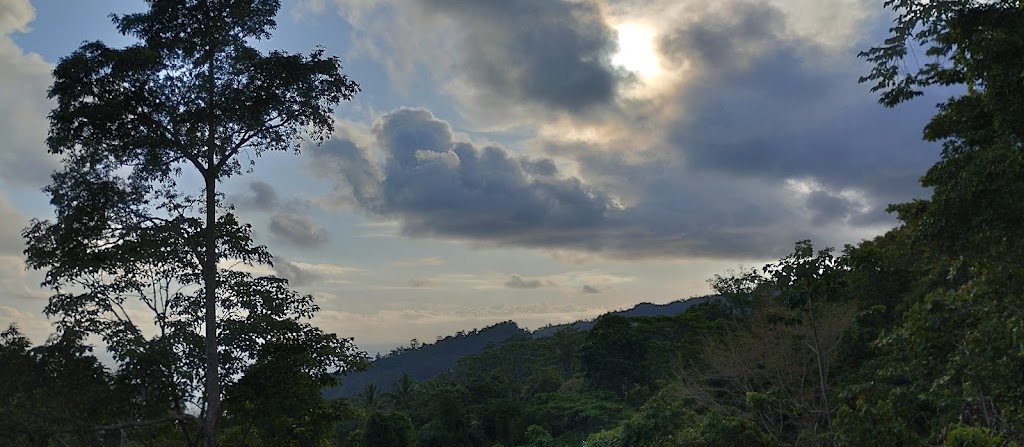Pante Musiru: Pesona Tersembunyi di Maluku Tengah