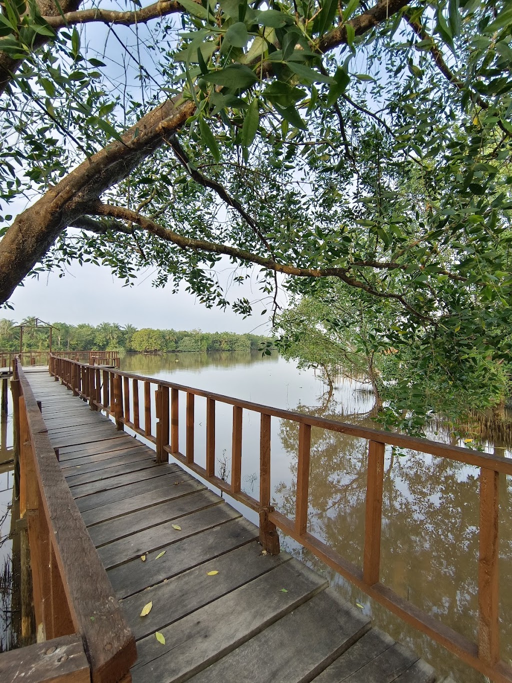 Pulau Semut Pekanbaru: Pesona Tersembunyi di Riau