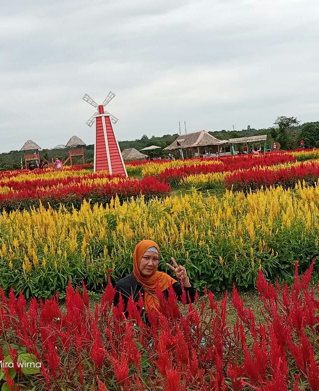 Jelajahi Keindahan Alam di Kampoeng Wisata Yasaman Cindo, Sumatera Selatan