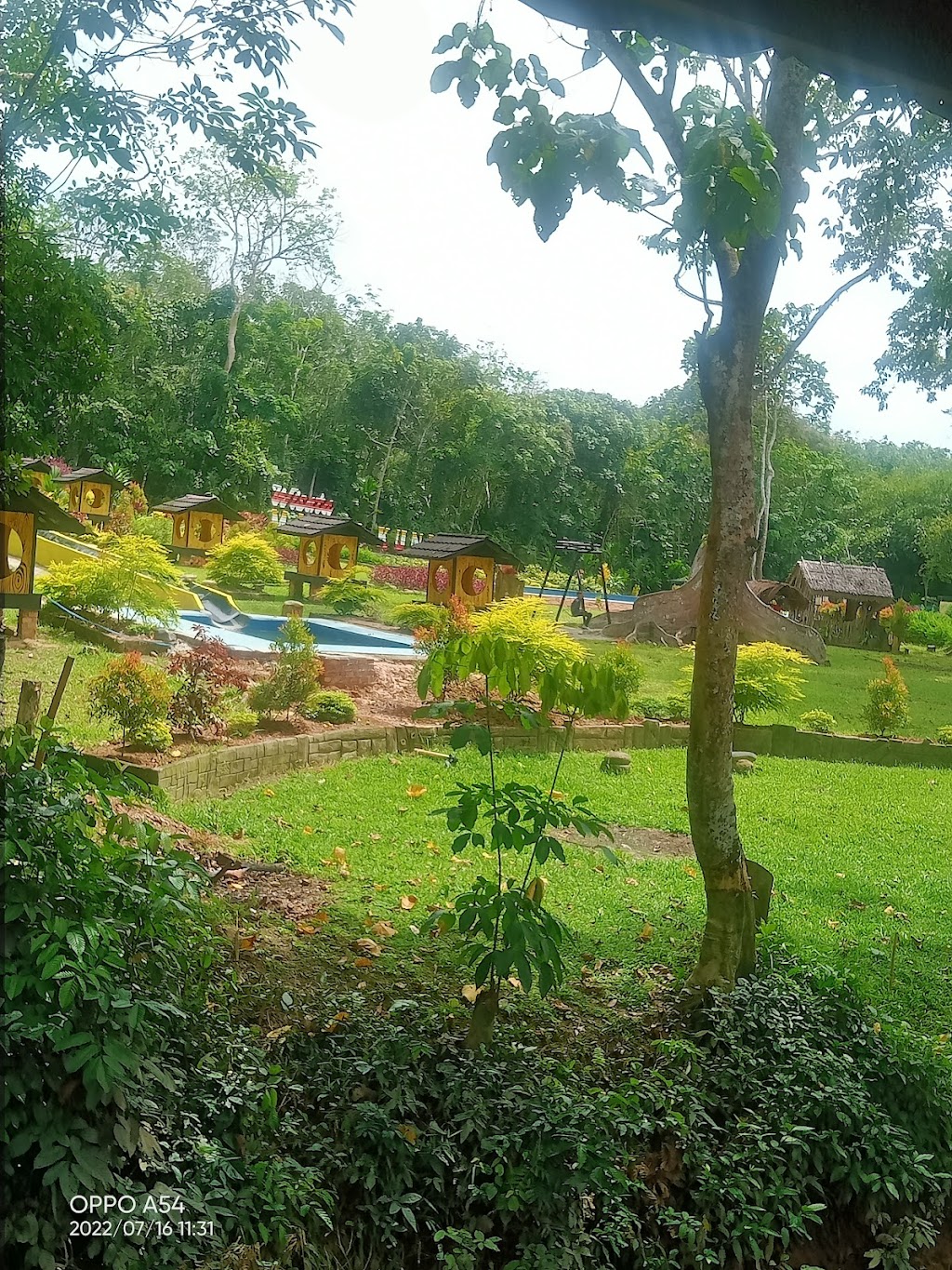 Menjelajahi Pesona Manau Kuning, Sumatera Selatan